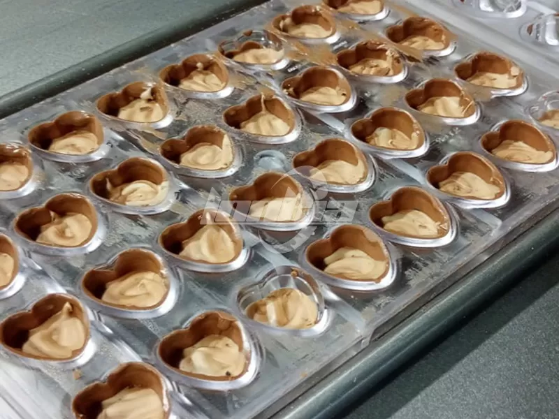 Lonkia Chocolate Mould Washing Machine Successfully Exported to Argentina