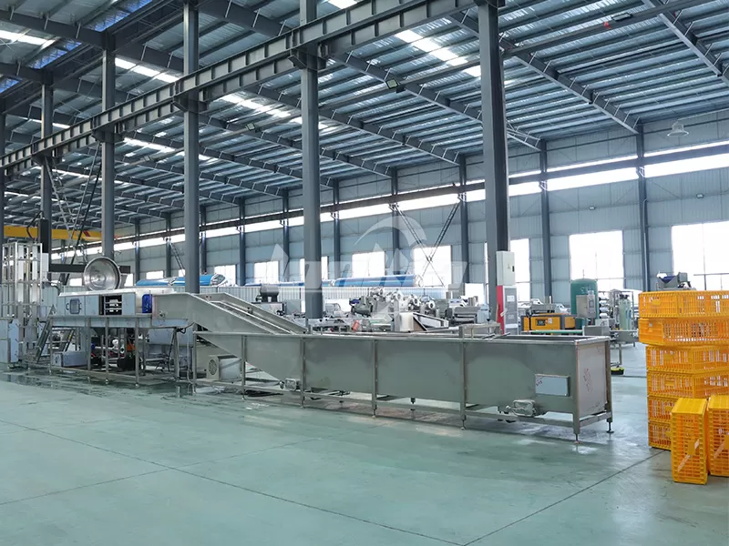 Choosing the Right Poultry Crate Washer for Your Processing Plant